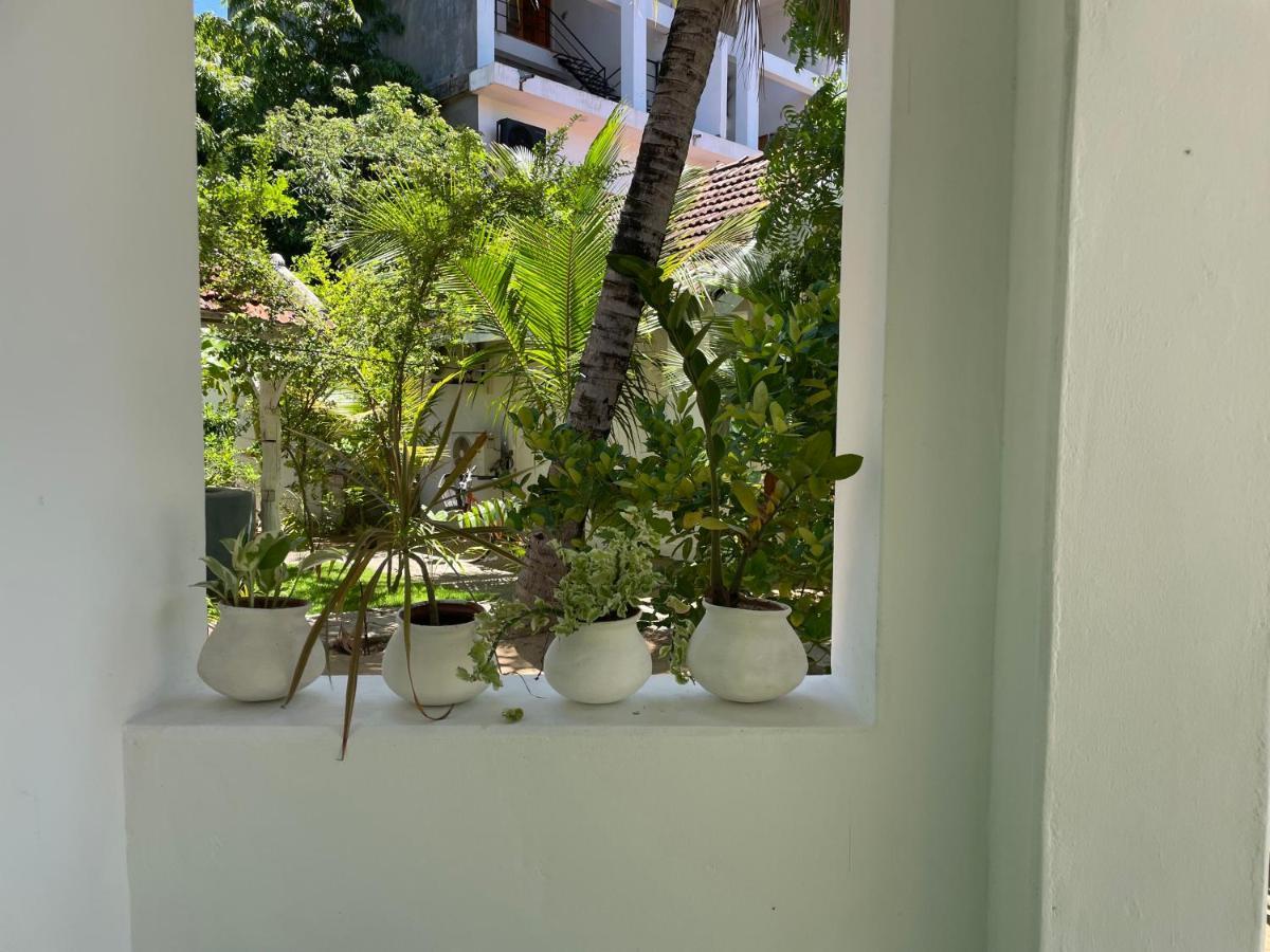 ホテル Banana Surf House アルガムベイ エクステリア 写真